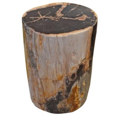 Andrianna Shamaris Petrified Wood Side Table