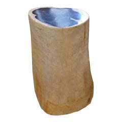 Antique Andrianna Shamaris Petrified Wood Side Table