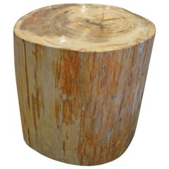 Andrianna Shamaris Petrified Wood Side Table