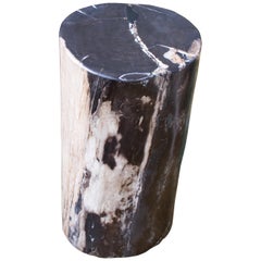 Andrianna Shamaris Petrified Wood Side Table