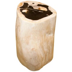 Andrianna Shamaris Petrified Wood Side Table