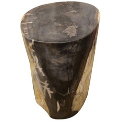 Andrianna Shamaris Petrified Wood Side Table