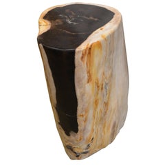 Andrianna Shamaris Petrified Wood Side Table