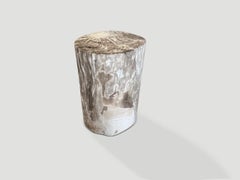 Andrianna Shamaris Petrified Wood Side Table in Modern Organic Design