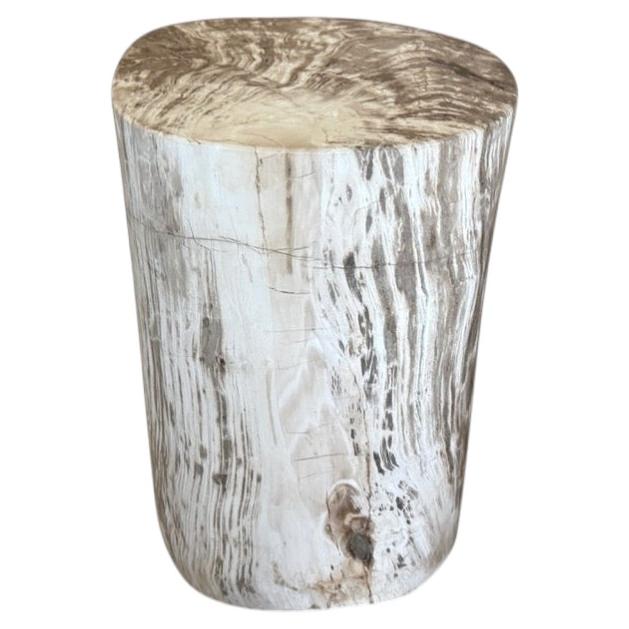 Andrianna Shamaris Petrified Wood Side Table in Modern Organic Design