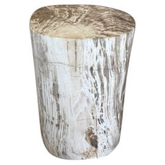 Tavolino in legno pietrificato Andrianna Shamaris dal design organico moderno