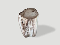 Andrianna Shamaris Beistelltisch aus versteinertem Holz, Modernes Design