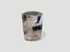 Andrianna Shamaris Petrified Wood Side Table, Modern Design