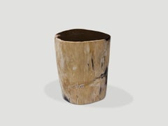 Andrianna Shamaris Petrified Wood Side Table, Modern Design