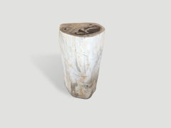 Andrianna Shamaris Petrified Wood Side Table, Modern Design