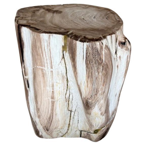 Table d'appoint en bois pétrifié Andrianna Shamaris, Modern Design