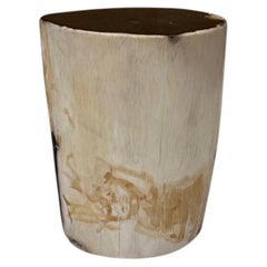 Andrianna Shamaris Petrified Wood Side Table, Modern Design