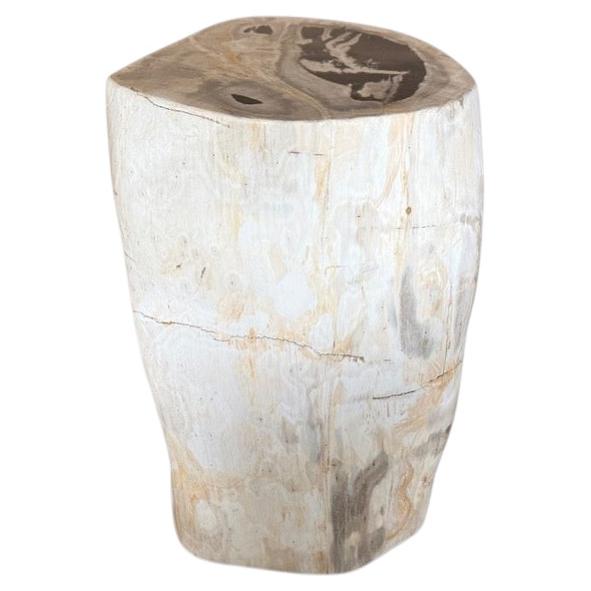 Table d'appoint en bois pétrifié Andrianna Shamaris, Modern Design