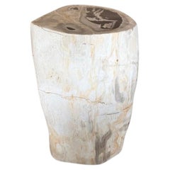 Andrianna Shamaris Petrified Wood Side Table, Modern Design