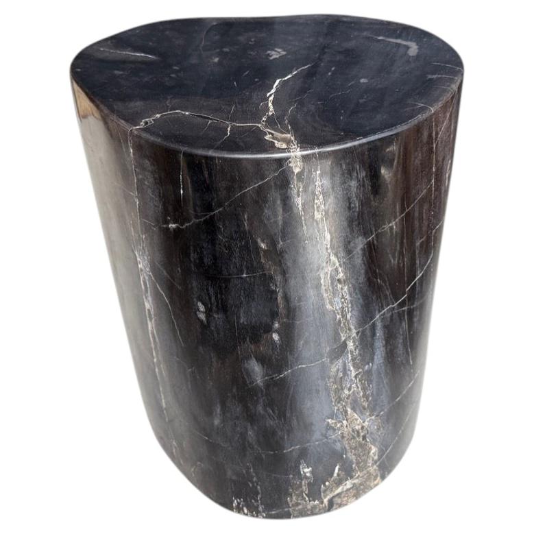 Andrianna Shamaris Petrified Wood Side Table, Modern Minimalist