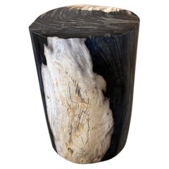 Andrianna Shamaris Petrified Wood Side Table, Modern Organic Design