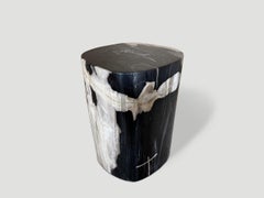 Andrianna Shamaris Petrified Wood Side Table, Modern Organic Design