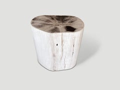 Andrianna Shamaris Petrified Wood Side Table, Modern Organic Design