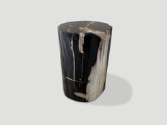 Andrianna Shamaris Petrified Wood Side Table, Modern Organic Design
