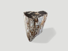 Andrianna Shamaris Petrified Wood Side Table, Modern Organic Design