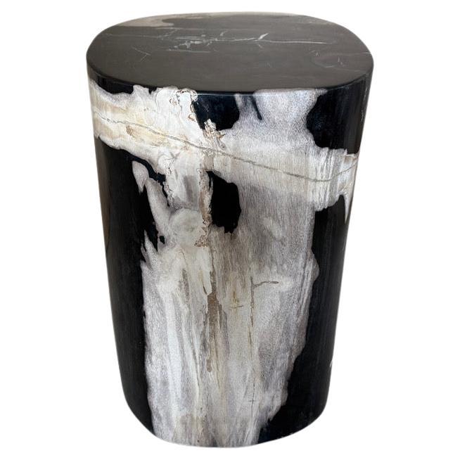 Andrianna Shamaris Petrified Wood Side Table, Modern Organic Design