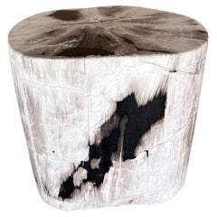 Andrianna Shamaris Petrified Wood Side Table, Modern Organic Design