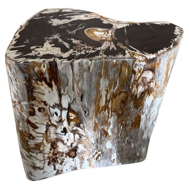 Andrianna Shamaris Petrified Wood Side Table, Modern Organic Design