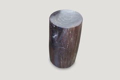 Andrianna Shamaris Petrified Wood Side Table or Stool