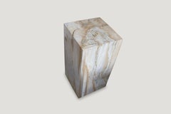 Andrianna Shamaris Petrified Wood Side Table or Pedestal