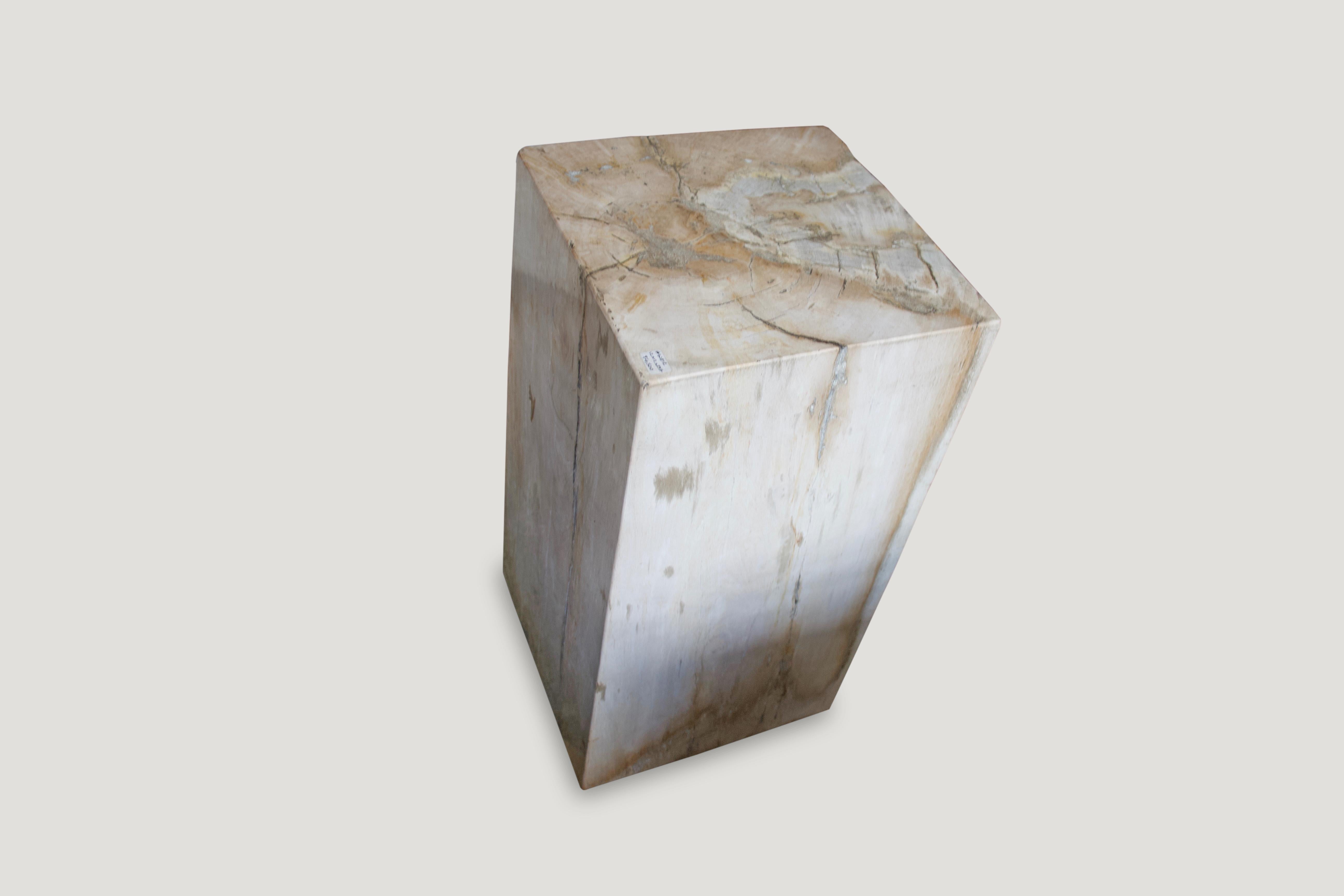 Organic Modern Andrianna Shamaris Petrified Wood Side Table or Pedestal
