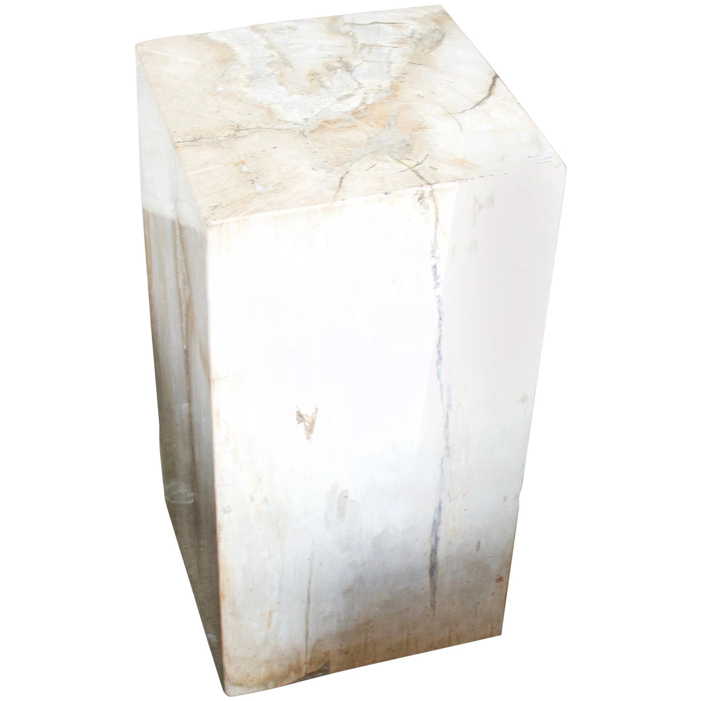 Andrianna Shamaris Petrified Wood Side Table or Pedestal