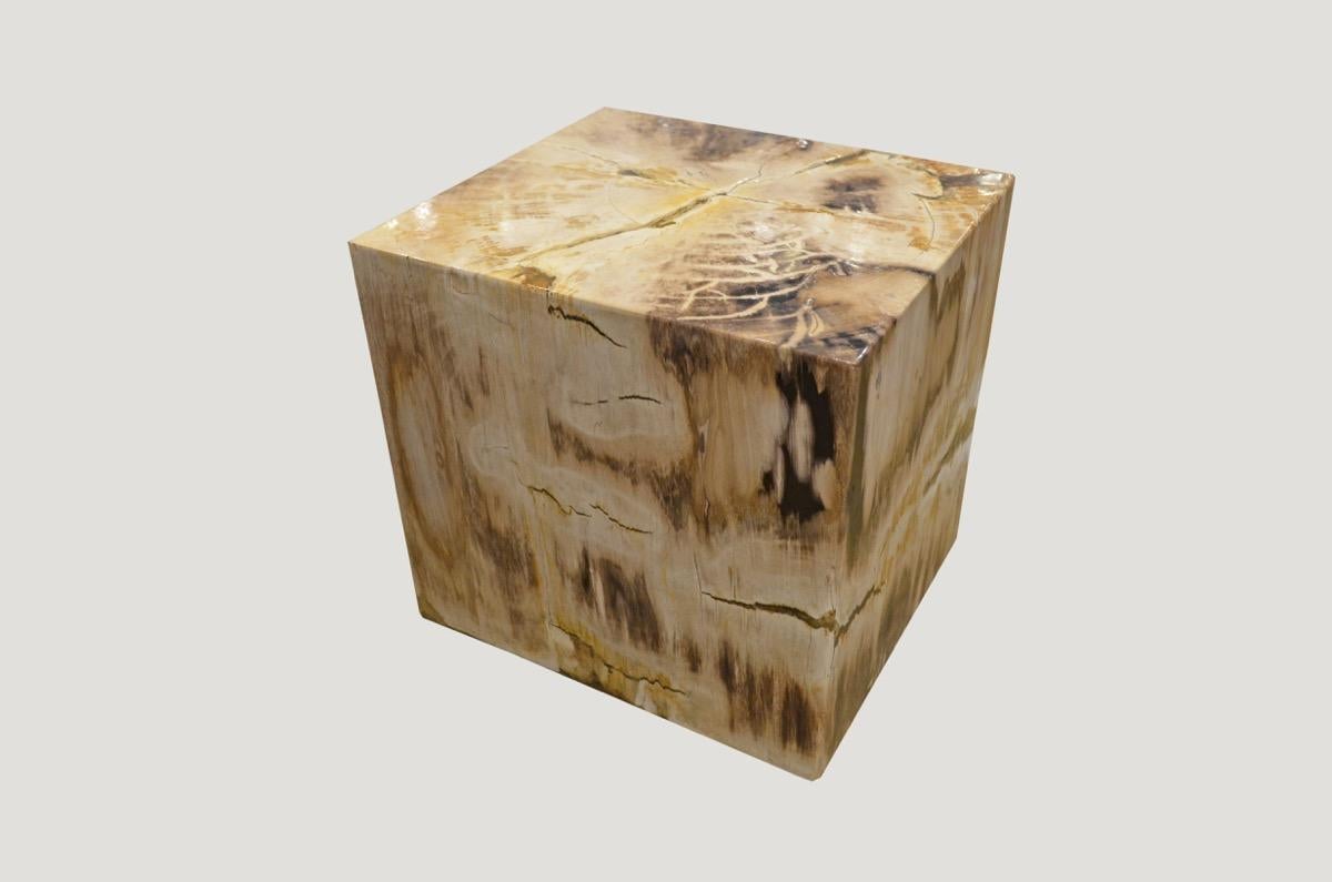 Indonesian Andrianna Shamaris Petrified Wood Side Table with Cracked Resin