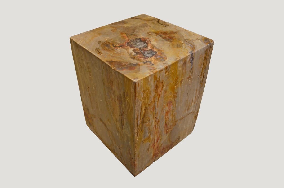 Indonesian Andrianna Shamaris Petrified Wood Side Table with Cracked Resin For Sale