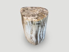 Andrianna Shamaris Petrified Wood Side Table with Crystals