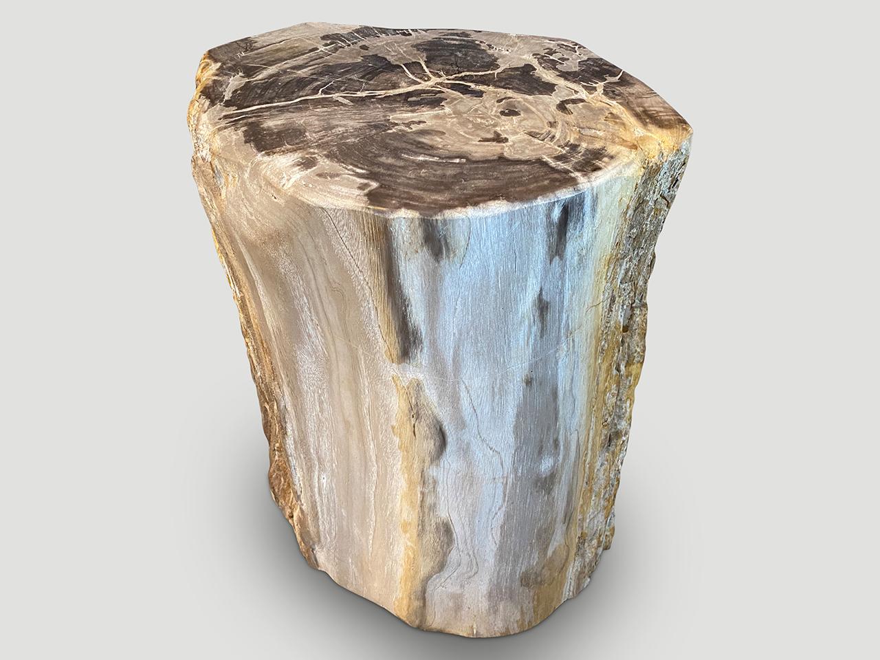 High quality petrified wood side table. This one has contrasting markings and natural crystals imbedded in the sides. Hard to capture in an image. We can also send a video. Please inquire. It’s fascinating how Mother Nature produces these exquisite