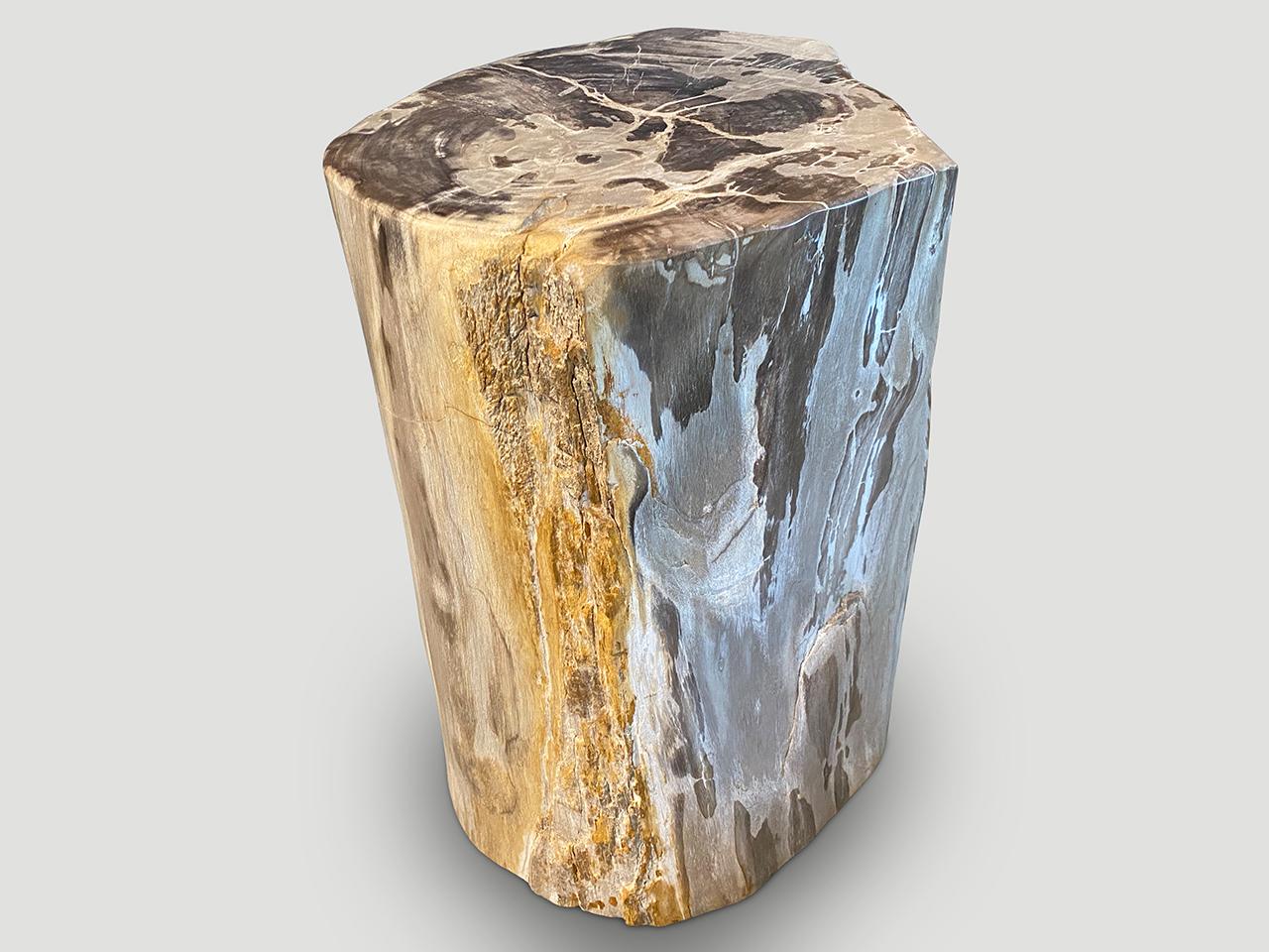 Organic Modern Andrianna Shamaris Petrified Wood Side Table with Crystals For Sale