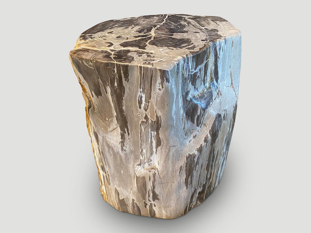 Andrianna Shamaris Petrified Wood Side Table with Crystals In Excellent Condition For Sale In New York, NY