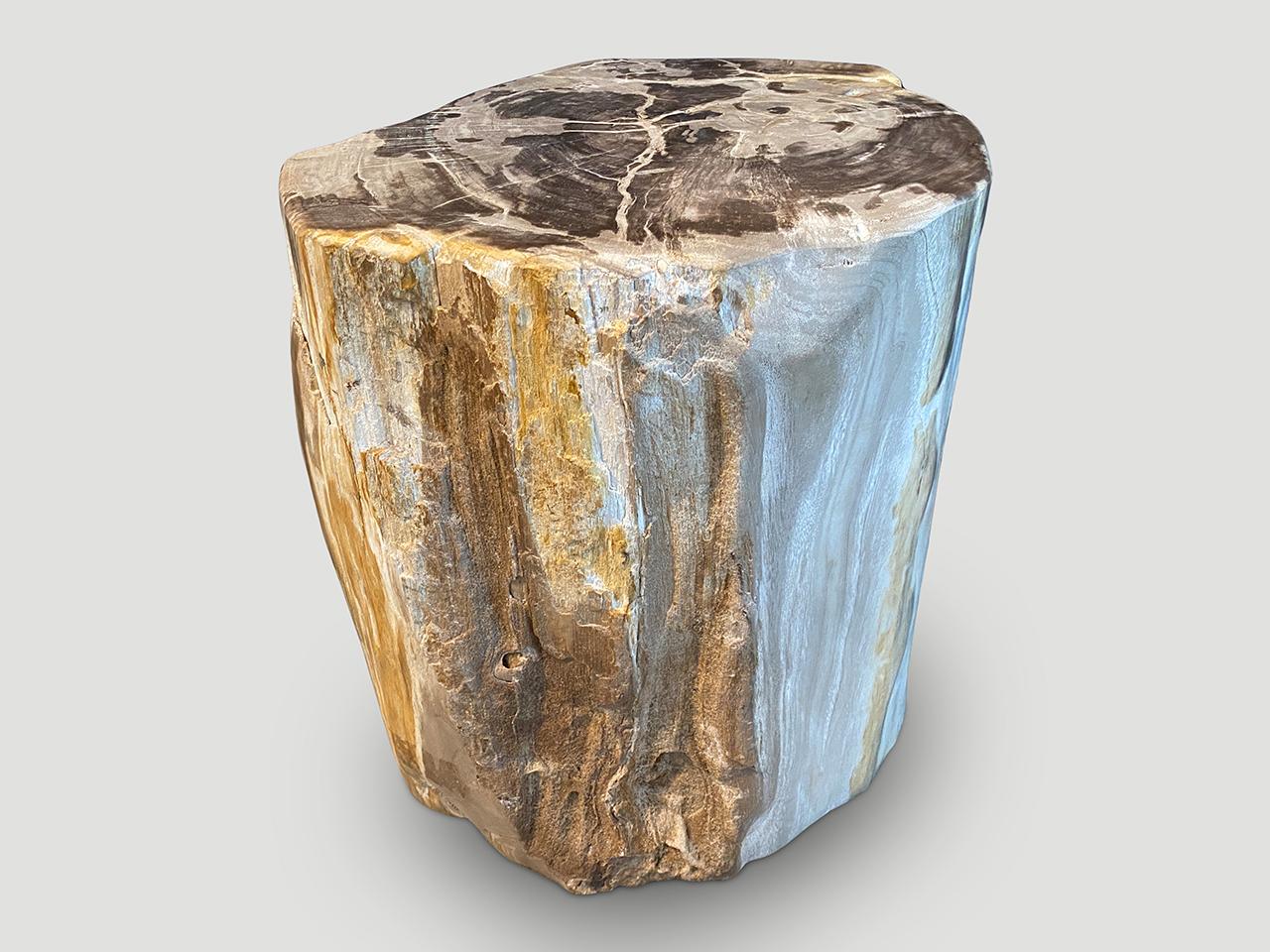 Contemporary Andrianna Shamaris Petrified Wood Side Table with Crystals For Sale
