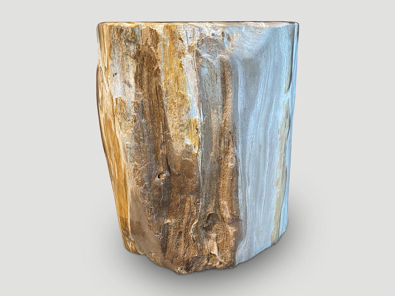 Andrianna Shamaris Petrified Wood Side Table with Crystals For Sale 1