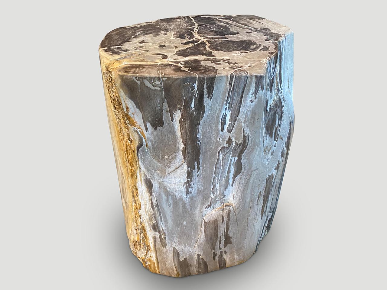 Andrianna Shamaris Petrified Wood Side Table with Crystals For Sale 2