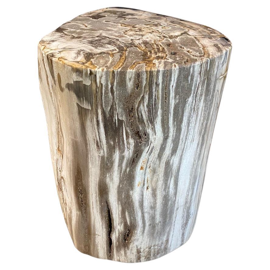 Petrified Wood Side Tables 133 For Sale at 1stDibs petrified wood