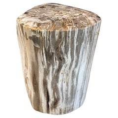 Andrianna Shamaris Petrified Wood Side Table with Crystals