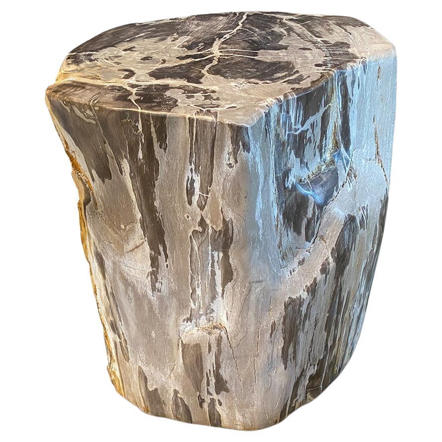 Andrianna Shamaris Petrified Wood Side Table with Crystals For Sale