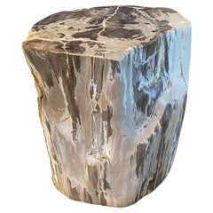 Andrianna Shamaris Beistelltisch aus versteinertem Holz mit Kristallen