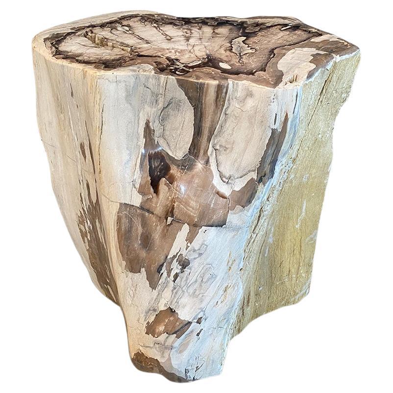 Small Side Table with Petrified Wood Top and Metal Legs at 1stDibs