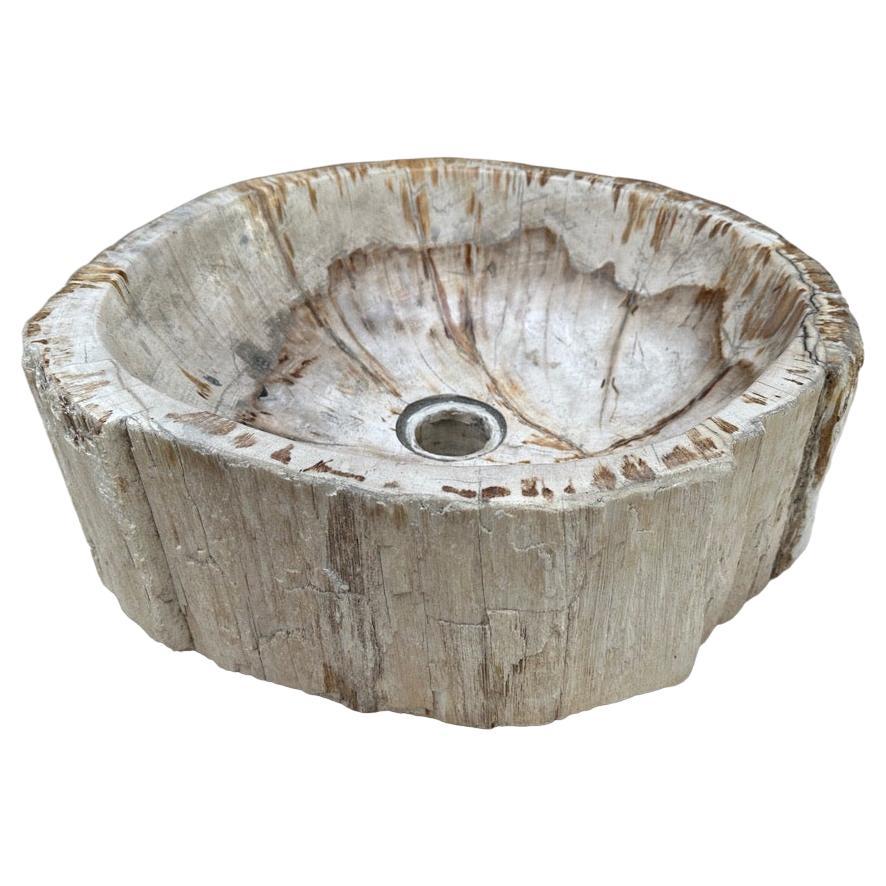 Andrianna Shamaris Petrified Wood Sink For Sale
