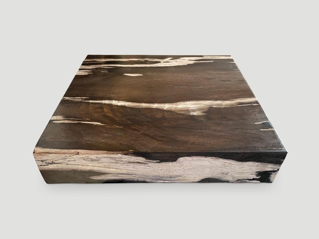 Organic Modern Andrianna Shamaris Petrified Wood Slab For Sale