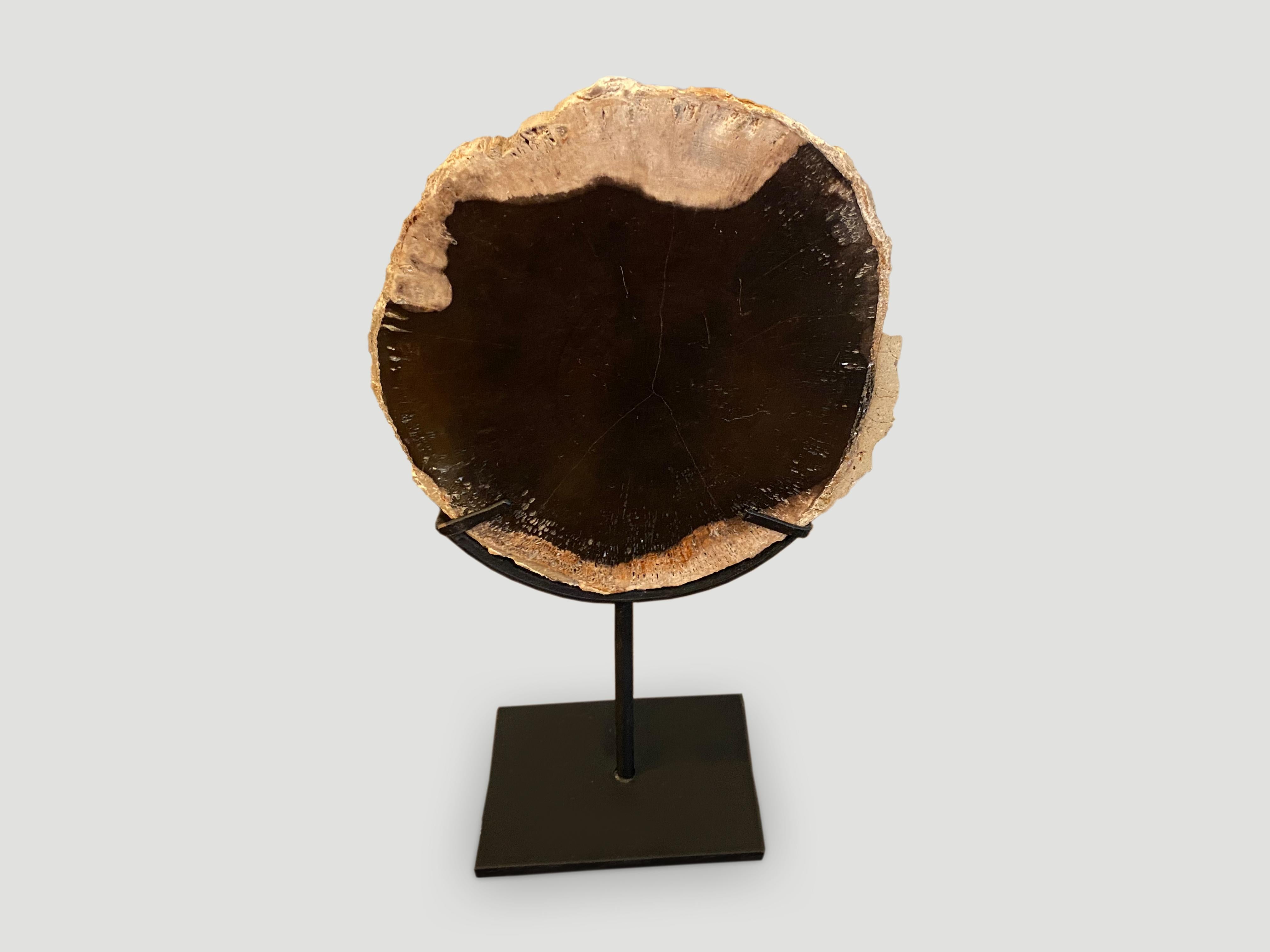 Small petrified wood slab on a metal stand. Polished on both sides with the edge left raw. The slab can also be removed and used a coaster.

As with a diamond, we polish the highest quality fossilized petrified wood, using our latest ground