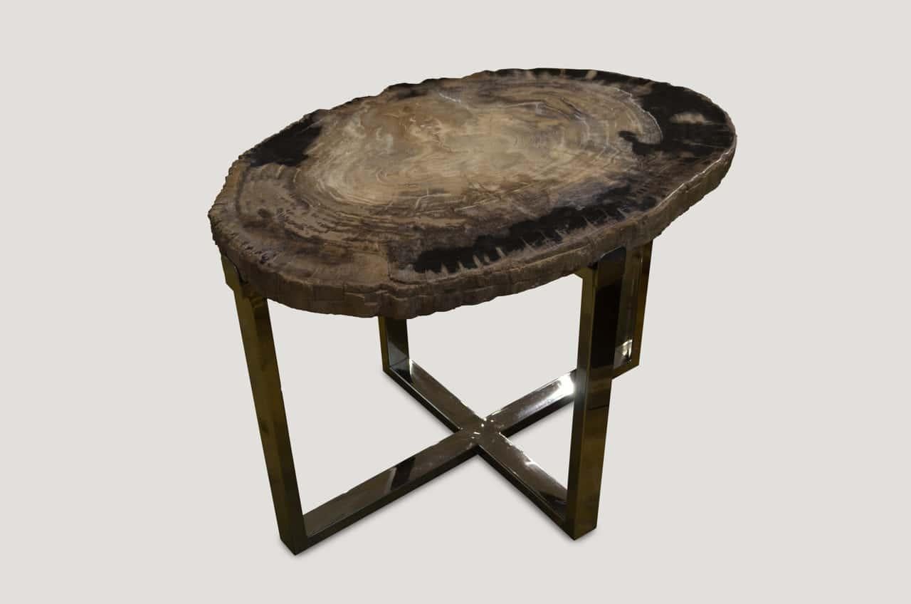 Organic Modern Andrianna Shamaris Petrified Wood Slab Side Table For Sale