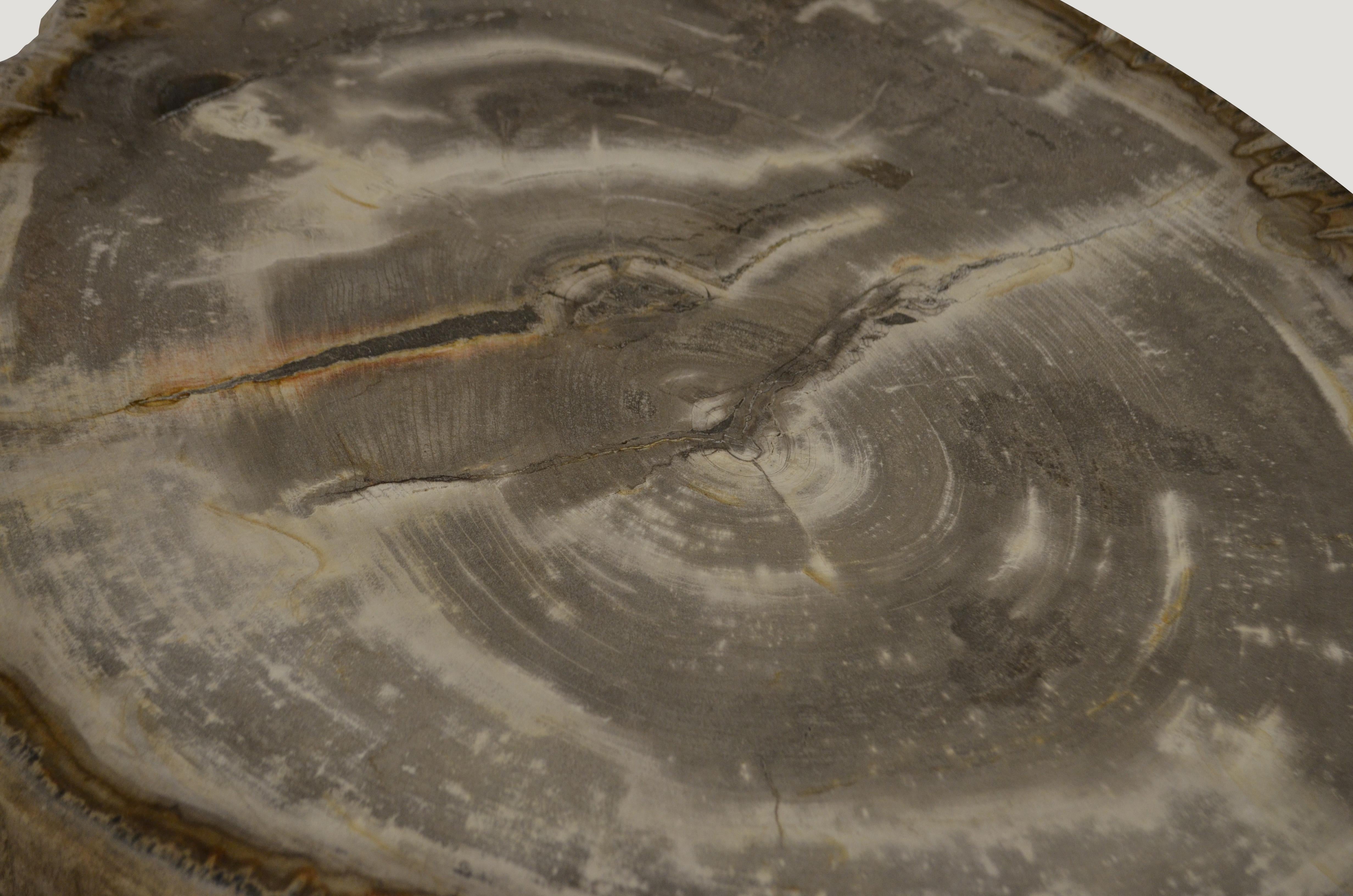 Andrianna Shamaris Petrified Wood Slab Side Table In Excellent Condition In New York, NY
